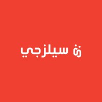Salesagy logo - Similar company to Dimensions Consulting Ltd