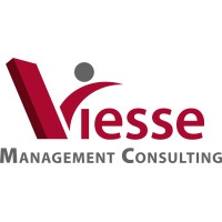 Viesse Management Consulting logo - Similar company to Gruppo Ecobonus