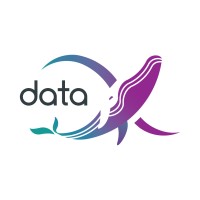 DataX logo - Similar company to Data X