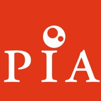 Political Ideas And Analysis (P.I.A.)