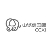 中诚信国际信用评级有限责任公司 logo - Similar company to China Chengxin (Asia Pacific) Credit Ratings Company Limited