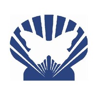 Stonington Institute logo - Similar company to Green Book Of Tampa Bay Inc