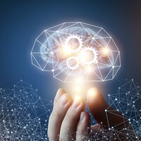 LightMind logo - Similar company to Light Mind