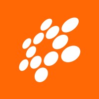 Olos Tecnologia Portugal logo - Similar company to Neuroni Tecnologia