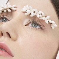 Maison Massillon logo - Similar company to Eyeshowroom