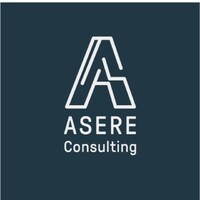 Asere Consulting logo - Similar company to Career Driven
