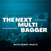 The Next Multibagger logo - Similar company to Potential Multibaggers