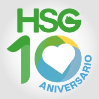 Horizontal Solutions Group Synergy logo - Similar company to Bit Coco