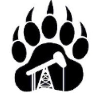 Bear Energy Services logo - Similar company to 47Th Cybersecurity Test Flight