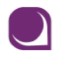 Visionary Partners logo - Similar company to Rapid Outsourcing & Strategic Solutions Inc.