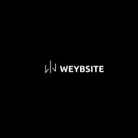 weybsite logo - Similar company to Anv Technologies