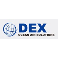 DEX INTERNATIONAL LOGISTICS logo - Similar company to Dex Logistics