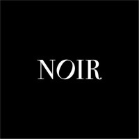 Noir Perfume logo - Similar company to Noir Perfume
