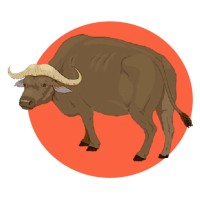 Vietnam Tours logo - Similar company to Visitgeorgia