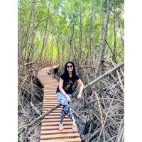 Pallavi Bhat logo - Similar company to Areca County