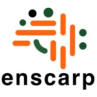 enscarp logo - Similar company to Coretex Group