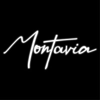 MONTAVIA logo - Similar company to Veam