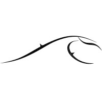 Floating Energy Systems Ltd logo - Similar company to Tadek Ocean Engineering