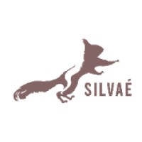 SILVAÉ - SciuruS logo - Similar company to Atticora