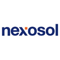 Nexosol logo - Similar company to Discoveritech