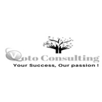 Voto Consulting LLC logo - Similar company to Js Consulting Solution