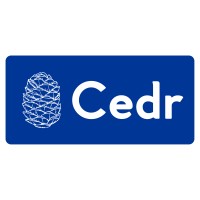 Cedr Design & Consulting logo - Similar company to Level5Fleet