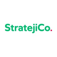 StratejiCo. logo - Similar company to Valueplus