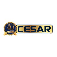 Grupo Cesar logo - Similar company to Vasap Design