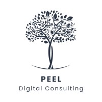 Peel Digital Consulting logo - Similar company to Peel Tech, Llc.