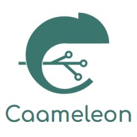 Caameleon logo - Similar company to Digiqo