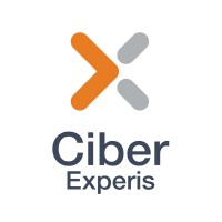 Ciber Norge