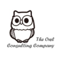 The Owl Consulting Company logo - Related company intelligence peer for OWL CONSTRUCTION LTD