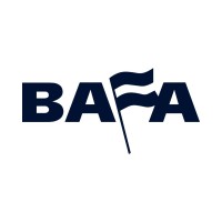 BAFA Group logo - Similar company to Steton Srl