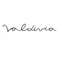 Valdivia Indumentaria logo - Similar company to Costa & Valdivia Consultores