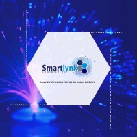 Smartlynk Consultores S.A de C.V logo - Similar company to Docsolutions