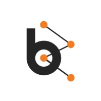 Bluebash logo - Similar company to Nirag Infotech
