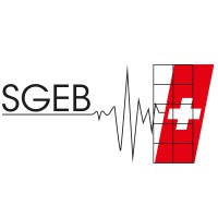 SGEB logo - Similar company to Stiftung Für Baudynamik Und Erdbebeningenieurwesen