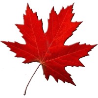 Maple Leaf Tourism Services logo - Similar company to Maple Leaf Tours