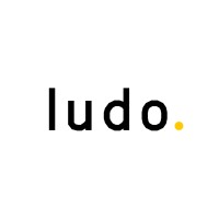 Build Ludo logo - Similar company to Netic Labs