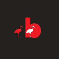Brinkelstock Design + Digital Studios logo - Similar company to Design Code Adv Est