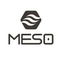 Meso Business logo - Similar company to Dindong