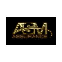 ASM ASSURANCE logo - Similar company to Launchit