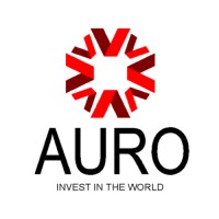 Auro Nigeria Private Limited logo - Similar company to Emerald Telecom (U) Limited