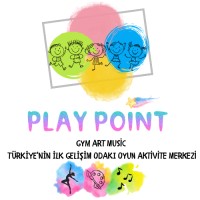 Play Point logo - Similar company to Roxard Industries