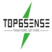 TOP6SENSE CONSULTANCY logo - Similar company to Startupsection.Com