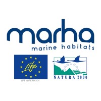 Life Marha logo - Similar company to Rudd Winery