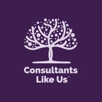 Consultants Like Us logo - Similar company to Precision Consultancy Services Limited