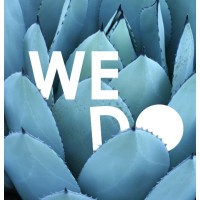 WeDo Creative Mauritius logo - Similar company to Avs+