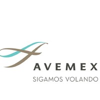 Avemex logo - Similar company to Avenex