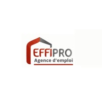 EffiPRO INTERIM logo - Similar company to Delecsys